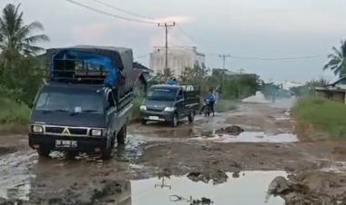 Perbaikan Mendesak: Jalan Lintas Sinaboi Rusak Parah - Permintaan Warga kepada Pemerintah Kabupaten Rokan Hilir