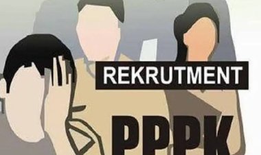 Honorer PPPK Rohil Terancam Diskualifikasi