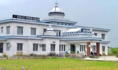 Dugaan Korupsi Dinas Perikanan Rohil Mengendap