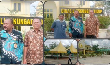 12 Sapi Disiapkan DLH Rohil Sambut Idul Adha