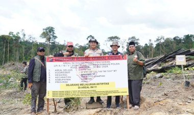 LAMR Apresiasi Polda Riau Ungkap Perambahan Hutan Balung
