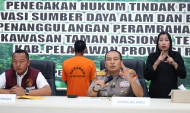 Tokoh Adat Riau Ditangkap karena Jual Kawasan Hutan TNTN