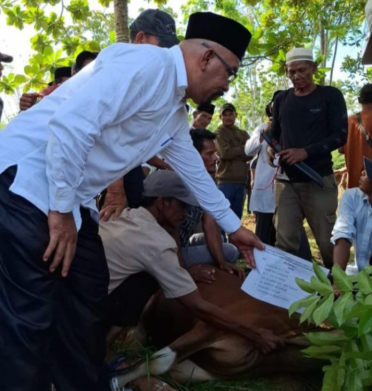 DLH Rohil Sembelih 15 Hewan Kurban Idul Adha 1446 H