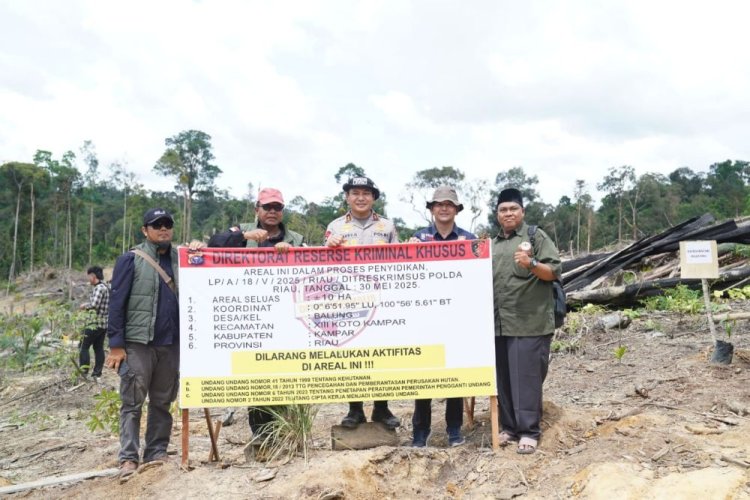 LAMR Apresiasi Polda Riau Ungkap Perambahan Hutan Balung