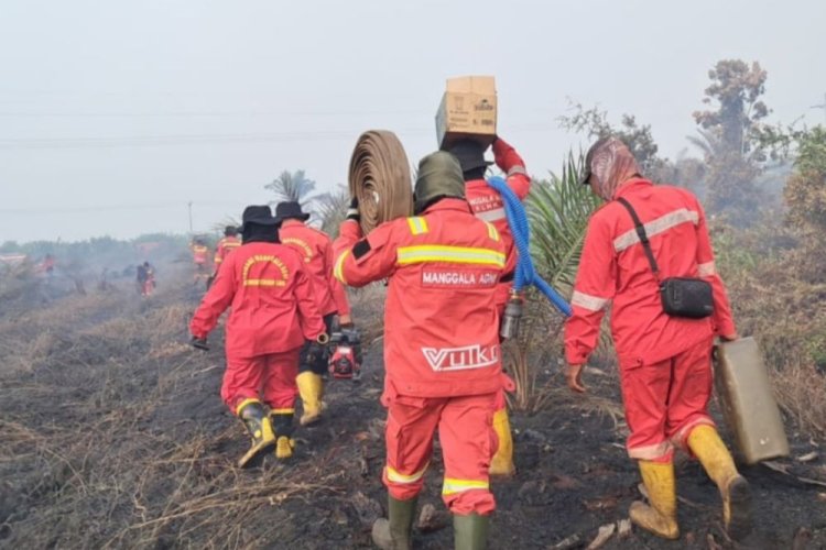 Hotspot Riau Turun Drastis, Hujan Ringan Bantu Redam Karhutla