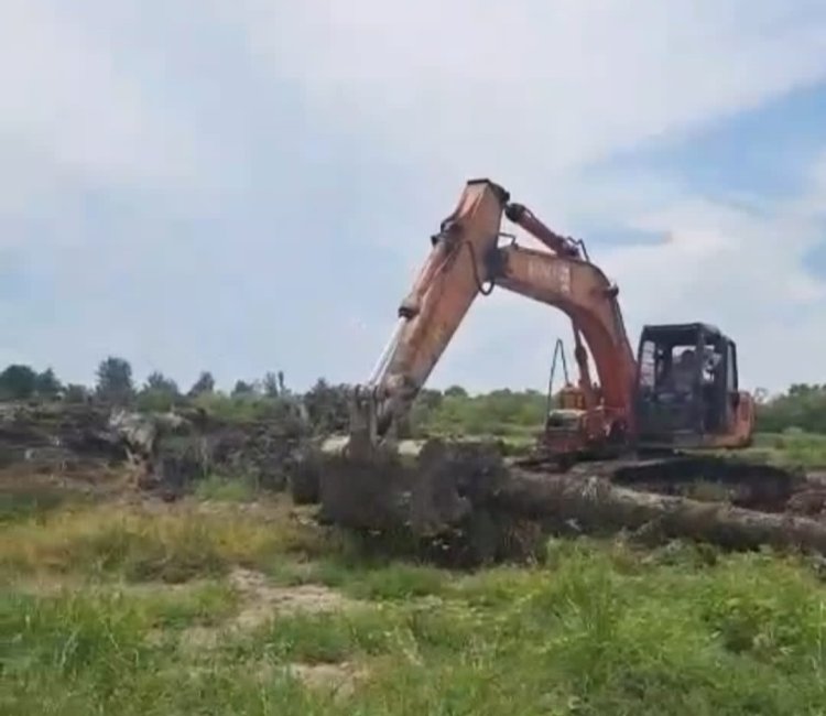 Polda Sumut Diminta Usut Perambahan Lahan Negara oleh Residivis Nakko Sitanggang