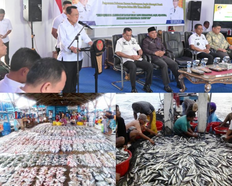 Bupati Rohil Soroti 70 Ton Ikan Penipahan Tak Masuk PAD