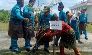 Bupati Rohil Terbitkan SE Gerakan Penanaman Pohon Dukung Program Green For Riau