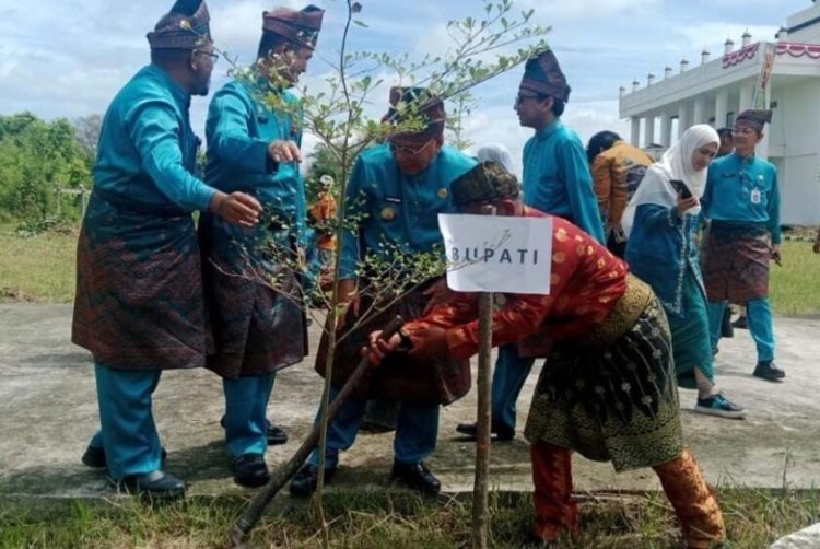 Bupati Rohil Terbitkan SE Gerakan Penanaman Pohon Dukung Program Green For Riau