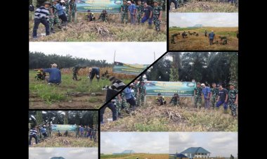 TMMD ke-127 Kodim 0301/Pekanbaru Tanam Jagung, Cabai dan Ubi di Tenayan Raya