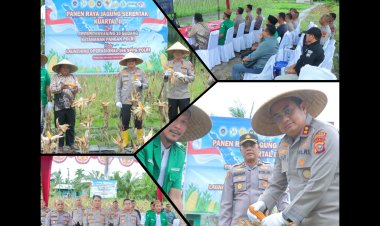Polres Meranti Panen Raya Jagung Dukung Ketahanan Pangan Nasional