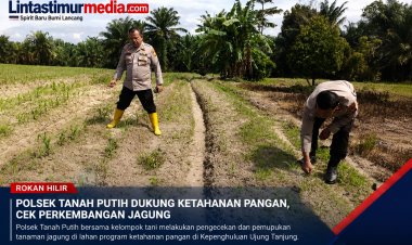 Polsek Tanah Putih Cek Jagung Ketahanan Pangan di Rokan Hilir