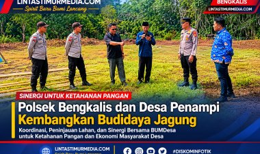 Polsek Bengkalis Dorong Budidaya Jagung Desa Penampi